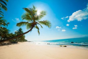 Bãi Dài là một trong tám bãi biển hoang sơ đẹp nhất hành tinh