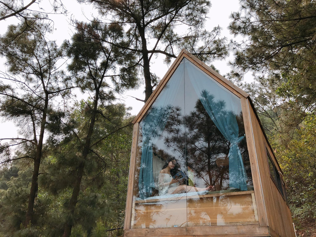 Homestay bên rừng 