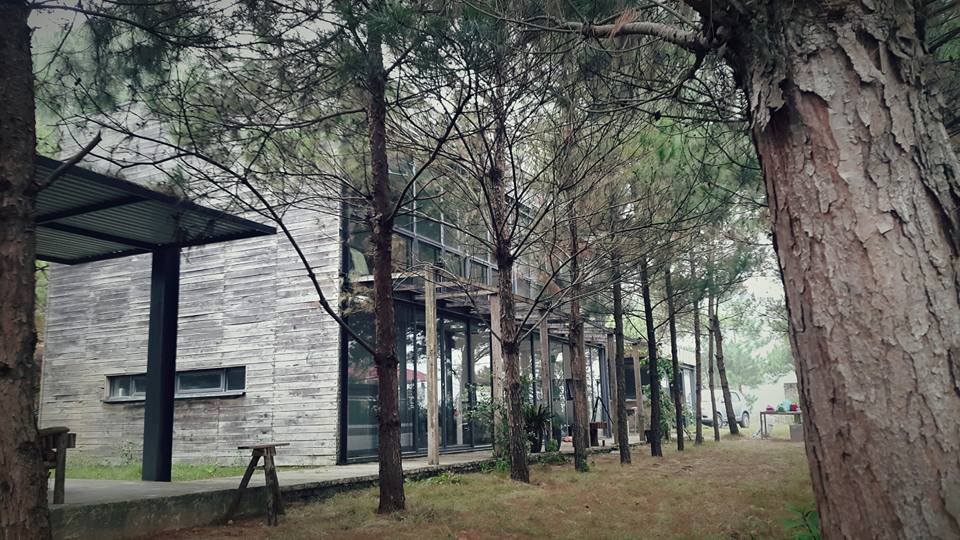 Rộn ràng mùa cưới với 6 homestay Hà Nội giá rẻ siêu xinh