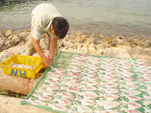 Mực một nắng ngoài khô, trong ướt, chế biến thành nhiều món mà vẫn giữ được chất dinh dưỡng và độ thơm ngon
