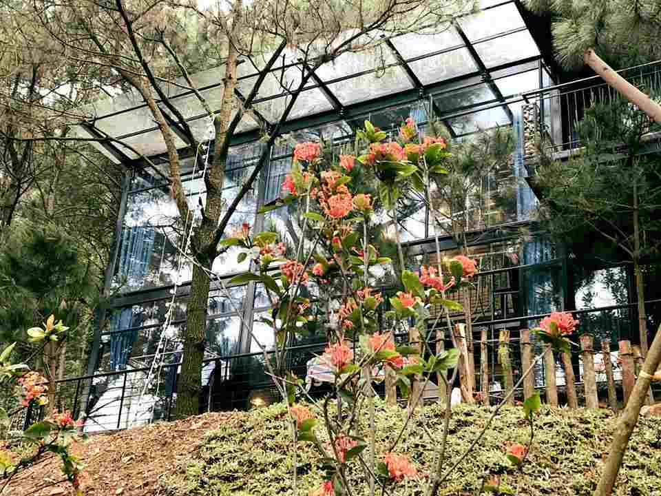 Vẻ đẹp ngất ngây các Homestay đẹp tại Sóc Sơn
