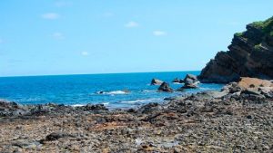 Phát sốt với Homestay Quảng Ninh giá rẻ cho du khách đi chơi thả ga