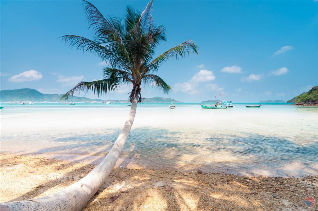 Đảo Nam Du đẹp nhất vào tháng 12 đến tháng 3 của năm sau