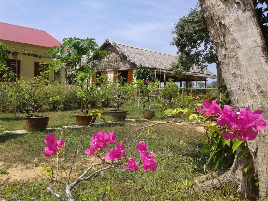 Không gian trong lành, mát mẻ và yên bình tại Spring Garden Homestay