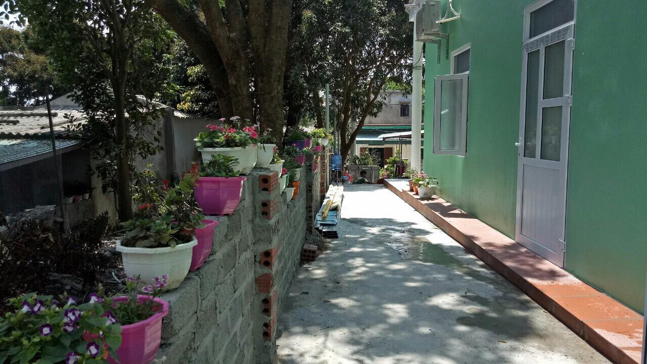 Bỏ túi những kinh nghiệm khi lựa chọn đặt phòng homestay tại Cô Tô