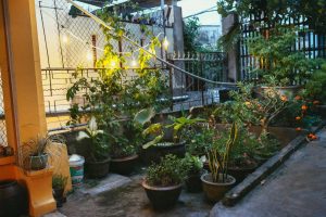 Ghé thăm 10 Homestay đẹp ở Sơn Trà 