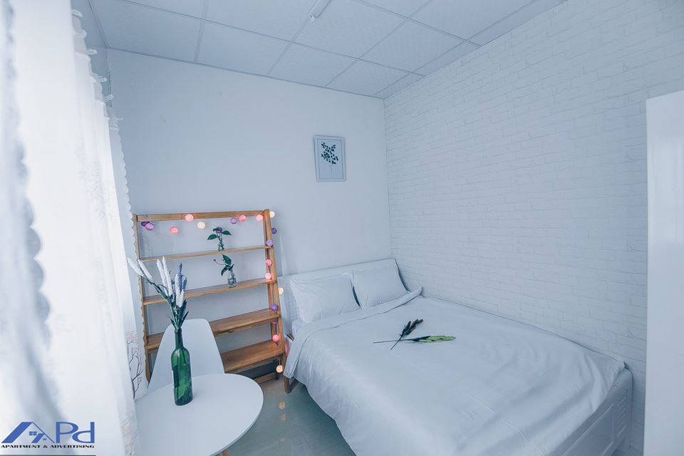 Đặt phòng homestay tại Đà Lạt - Trải nghiệm nghỉ dưỡng đầy mới mẻ