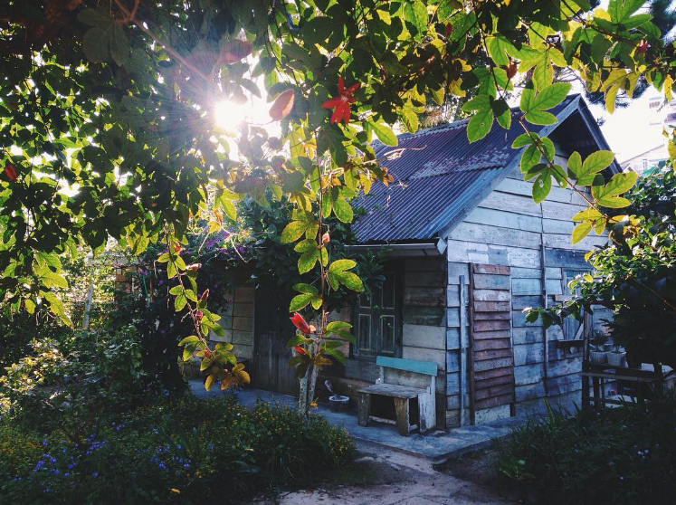 Đặt phòng homestay tại Đà Lạt - Trải nghiệm nghỉ dưỡng đầy mới mẻ