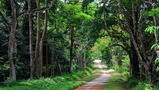 Vườn Quốc gia Ba Vì (Hà Nội) địa điểm nghỉ ngơi được nhiều người yêu thích vào cuối tuần