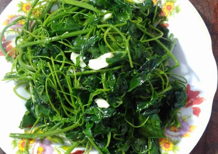 Vuon quoc gia Pu Mat