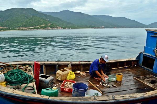 du lịch biển bình tiên cho gia đình