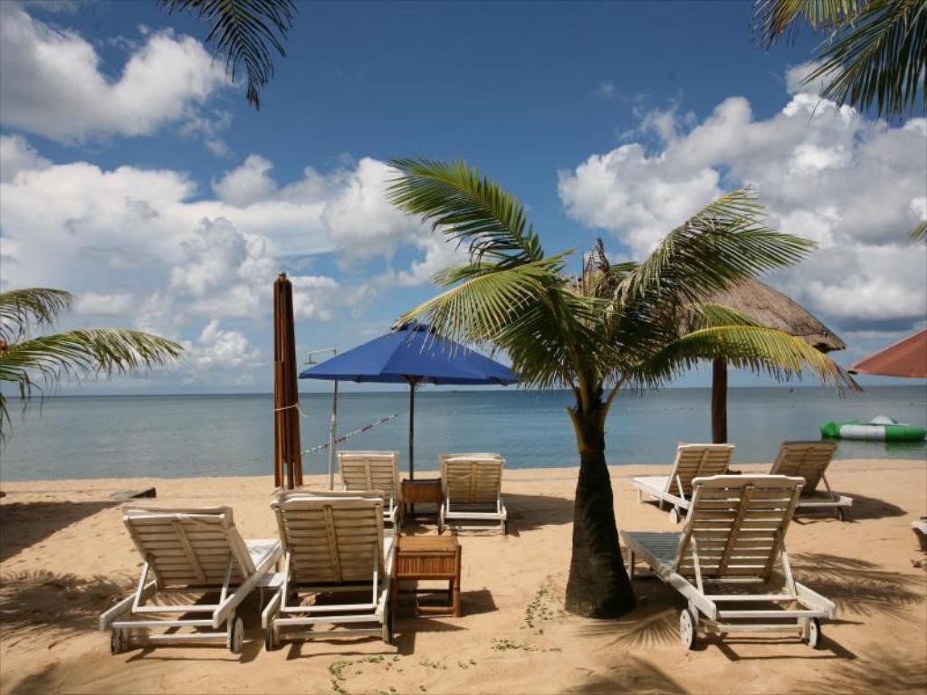 den-ngay-4-homestay-phu-quoc-cho-cap-doi-sieu-dep-gia-lai-hat-de
