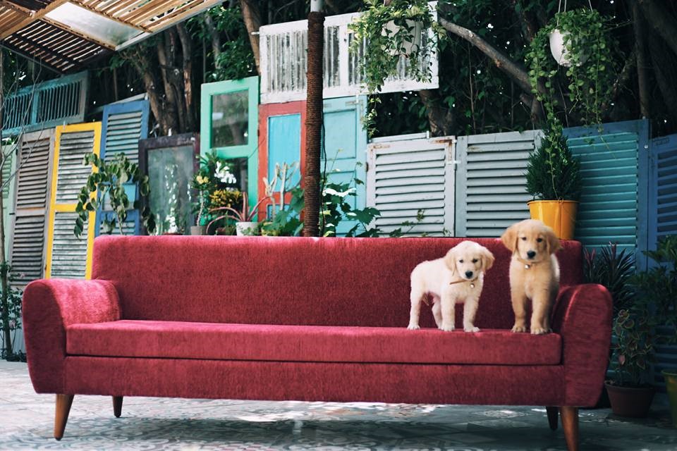 dot-nhap-s-house-homestay-nha-trang-re-dep-binh-yen-vung-bien-ca