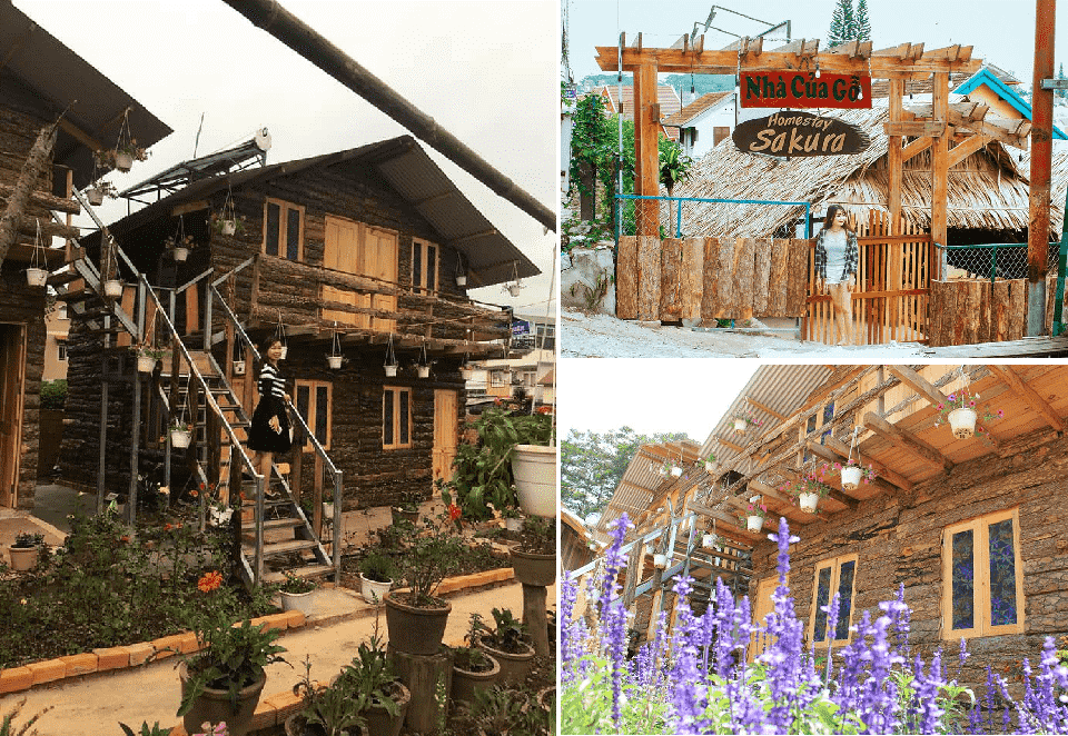 nhung-homestay-da-lat-re-dep-gan-cho-dem-tha-ho-cho-ban-an-uong