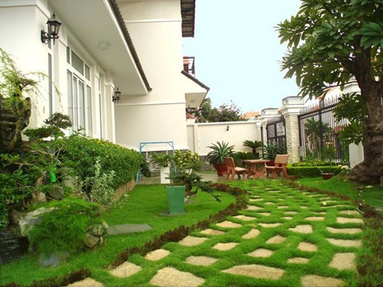 Du lịch Vĩnh Phúc - Tam Đảo Homestay