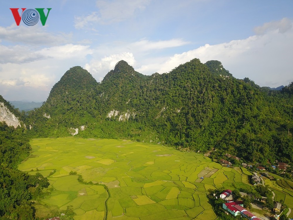 Khu Bảo Tồn Thiên Nhiên Kim Hỷ