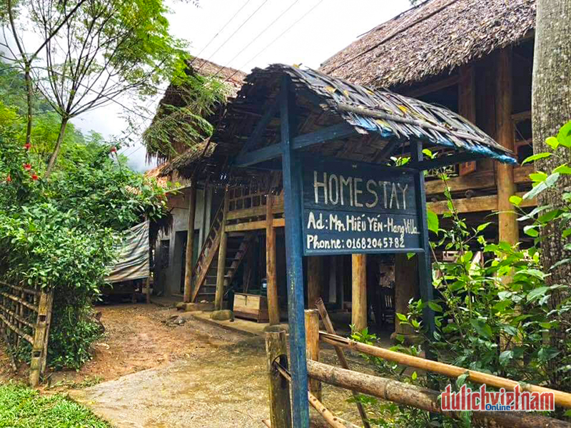 Lý Vân Homestay