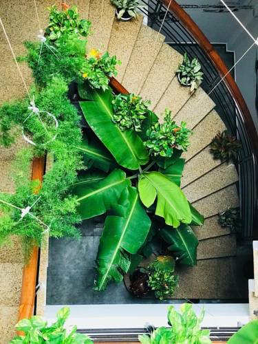homestay-tai-An-Phu-Thinh-New-City-binh-dinh-7-1.jpg