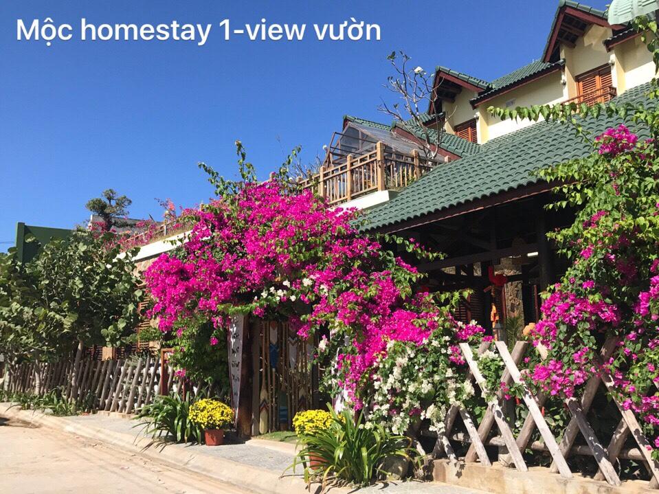 homestay-tai-nhon-hoi-new-city-binh-dinh-1.jpg